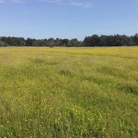 בית נופש 8 Person In Skagen-by Traum