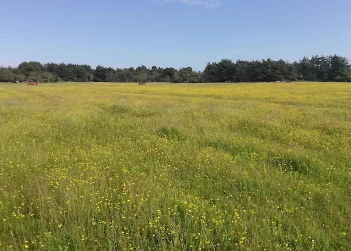 Casa vacanze 8 Person In Skagen-by Traum